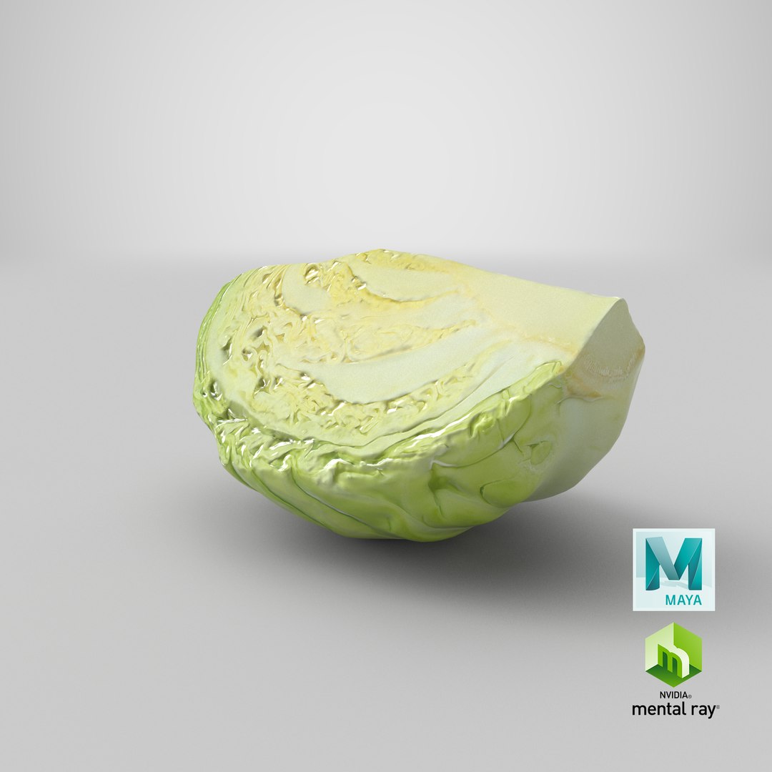 3D Cabbage Slice https://p.turbosquid.com/ts-thumb/T5/9Zo1bI/nC/stemcell_maya_mental_ray_render/png/1646989631/1920x1080/fit_q87/662eeb4c81ce9133a8ad06f9069ce8be6b2ab06e/stemcell_maya_mental_ray_render.jpg