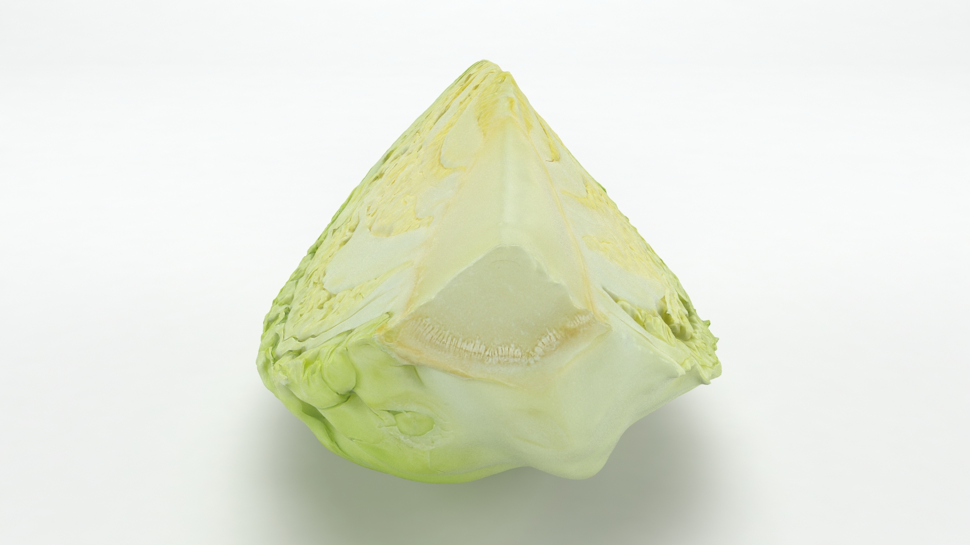 3D Cabbage Slice https://p.turbosquid.com/ts-thumb/T5/9Zo1bI/st/cabbageslice/jpg/1645870805/1920x1080/turn_fit_q99/c40103115b8db021571487aad6509ba0e1e98ff4/cabbageslice-1.jpg
