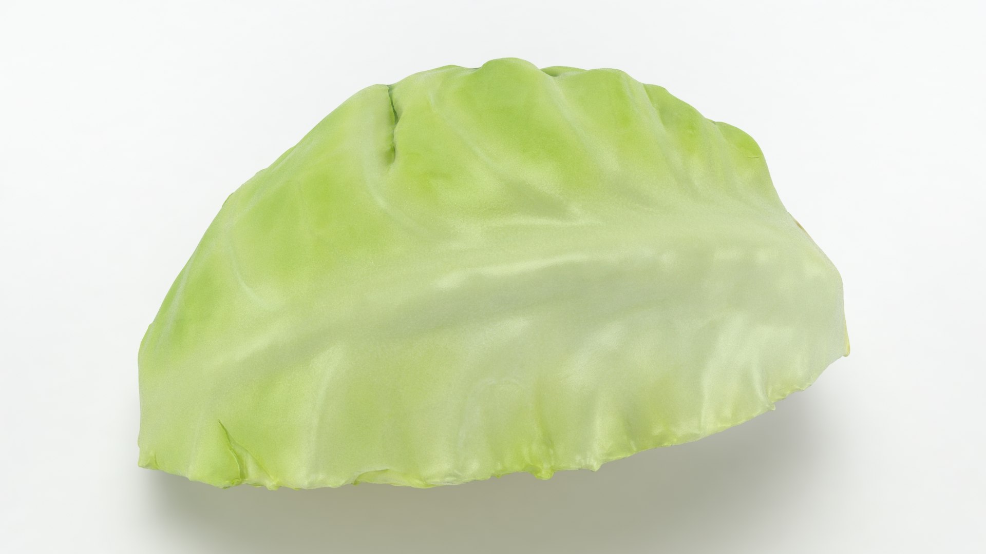 3D Cabbage Slice https://p.turbosquid.com/ts-thumb/T5/9Zo1bI/xq/cabbageslice_b0017/jpg/1645870892/1920x1080/fit_q87/b00e20ed422c17a335b5ad64ea35d5ca9d730b45/cabbageslice_b0017.jpg