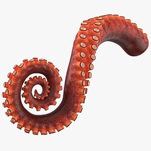 octopus tentacle rigged 3d model
