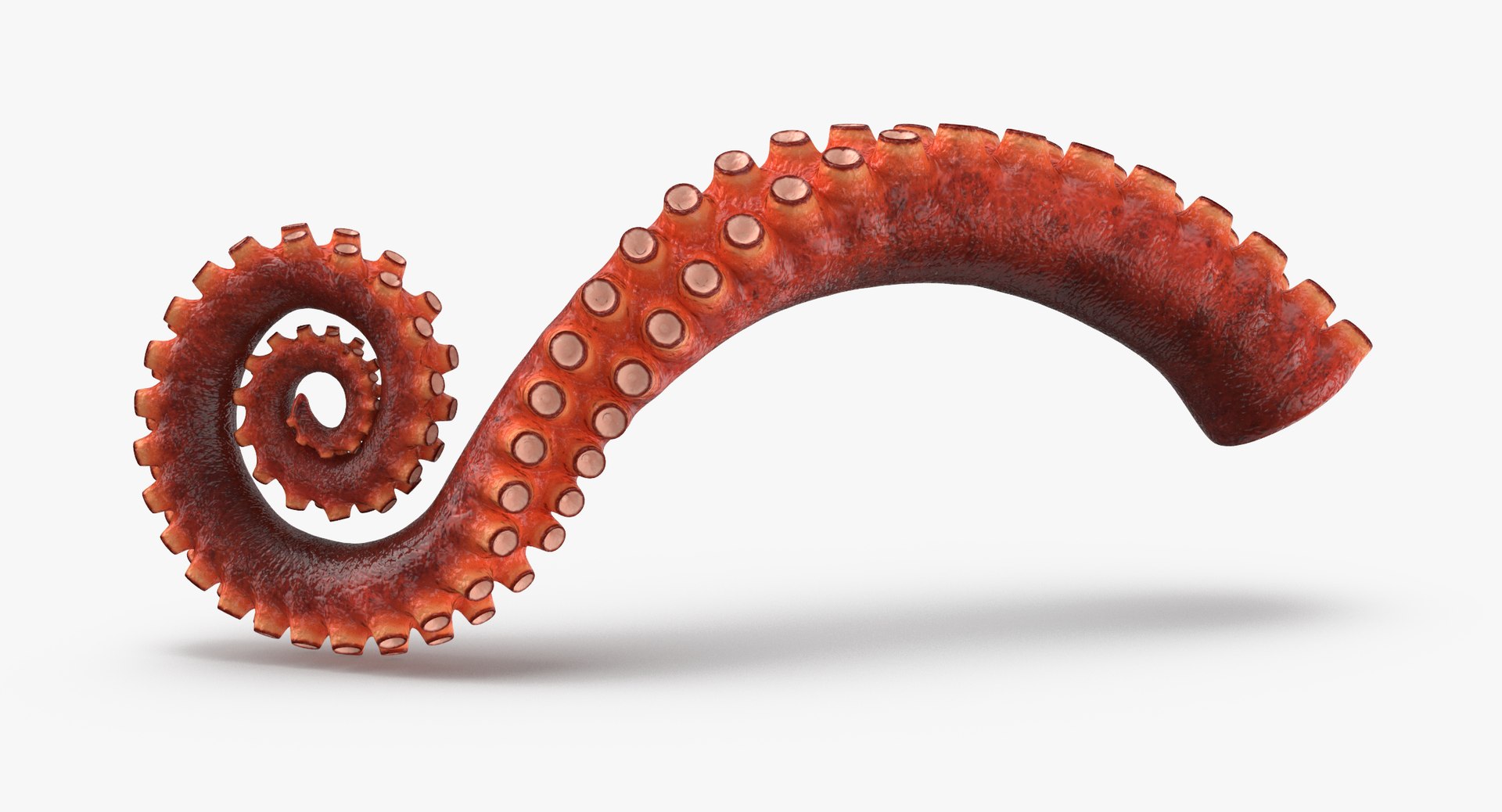 Octopus squid tendril tentacle hook by BattleHillForge on , $65.00