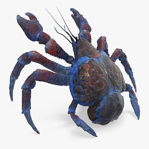 3D coconut crab rigged model