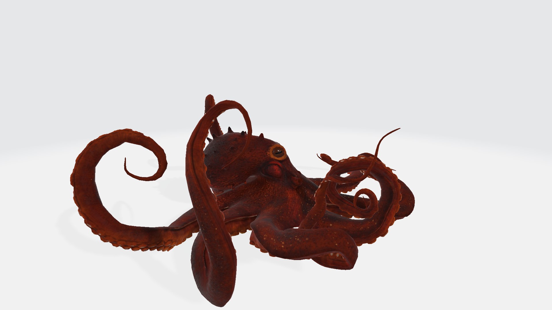 Octopus 3D Model - TurboSquid 2294955