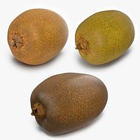 Kiwi Collection