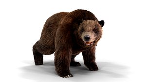 Fur Brown Bear animated