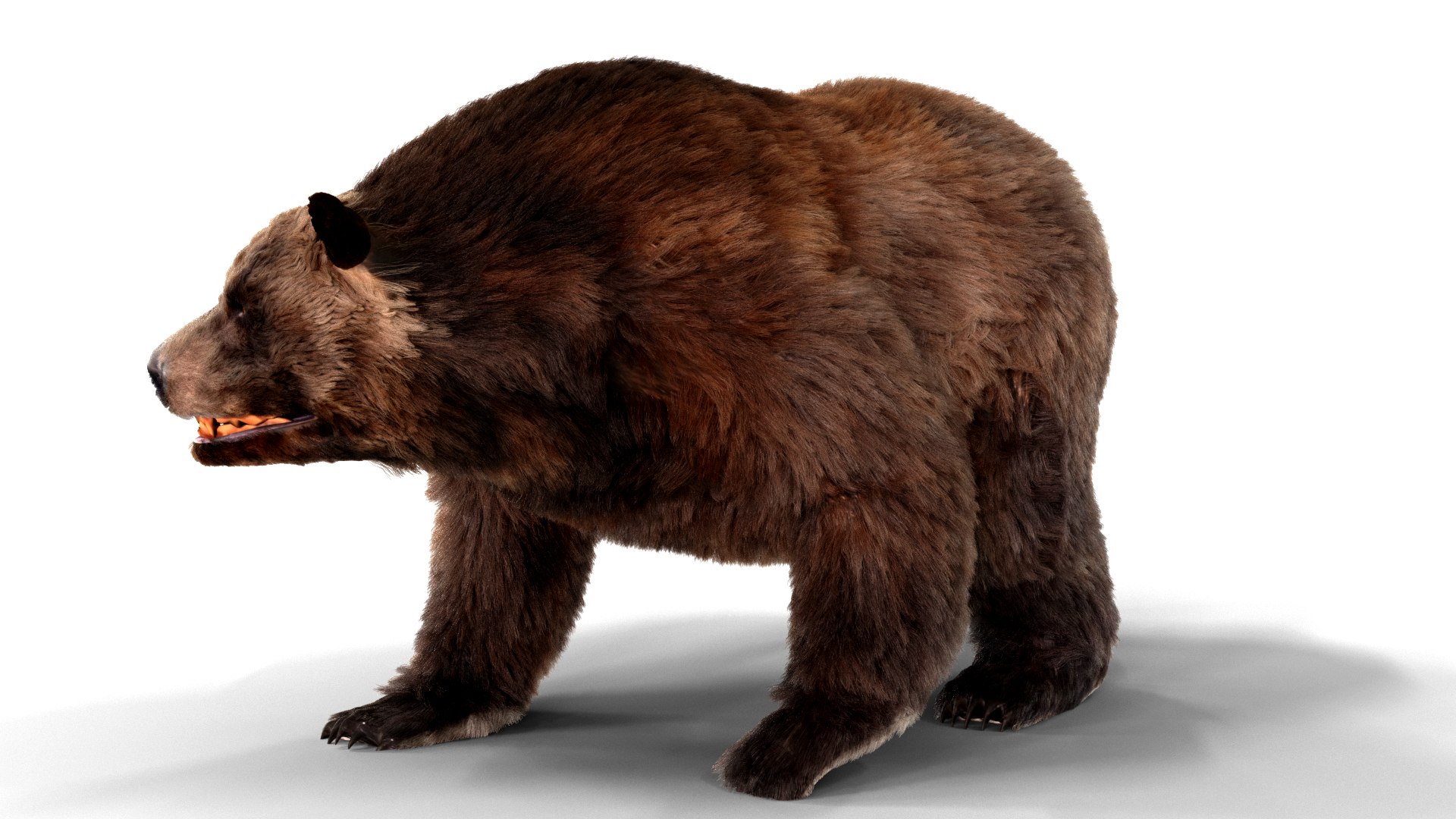 3D bear fur animation https://p.turbosquid.com/ts-thumb/T5/QfYJL2/6v/pose02/png/1618551098/1920x1080/fit_q87/6a02bc05204bd898f413331e83357c0e40aa2a7d/pose02.jpg