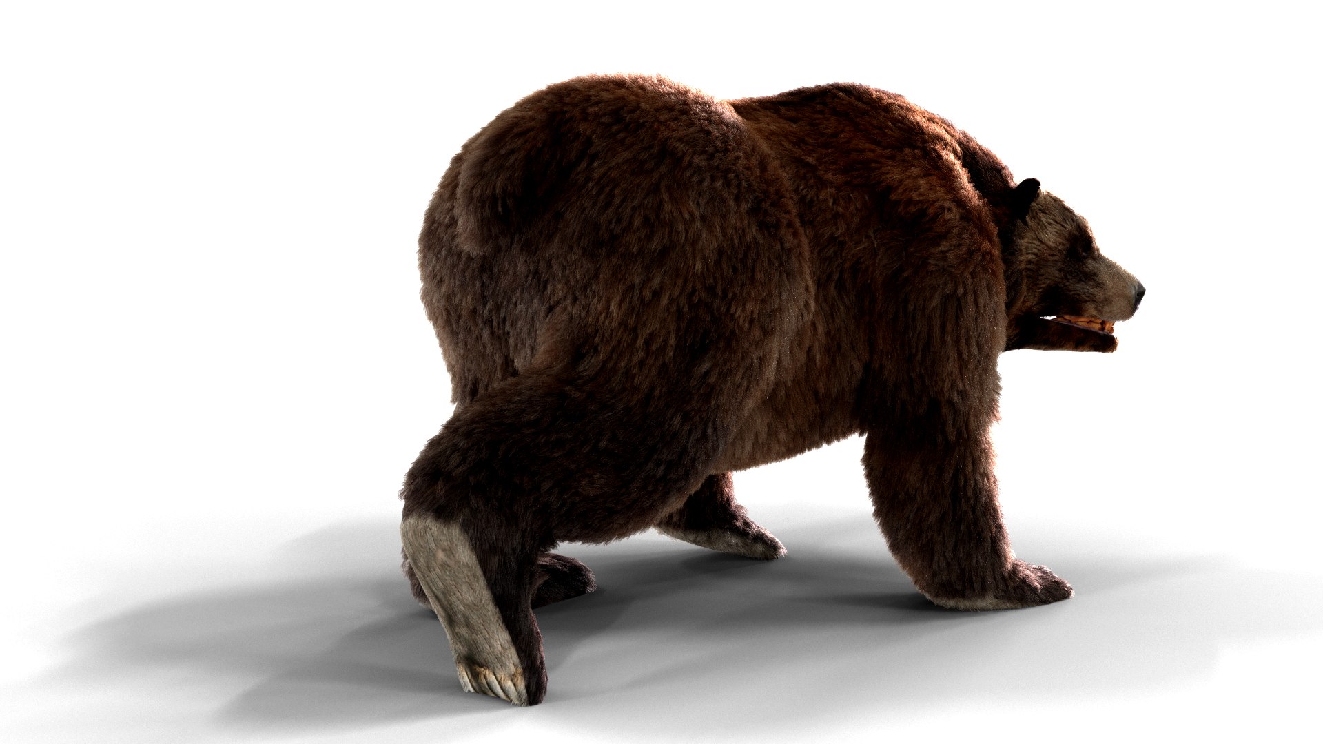 3D bear fur animation https://p.turbosquid.com/ts-thumb/T5/QfYJL2/JD/pose03/png/1618551098/1920x1080/fit_q87/6ac05c047c9ccc0f80c47f7007ce308b1e09d49f/pose03.jpg