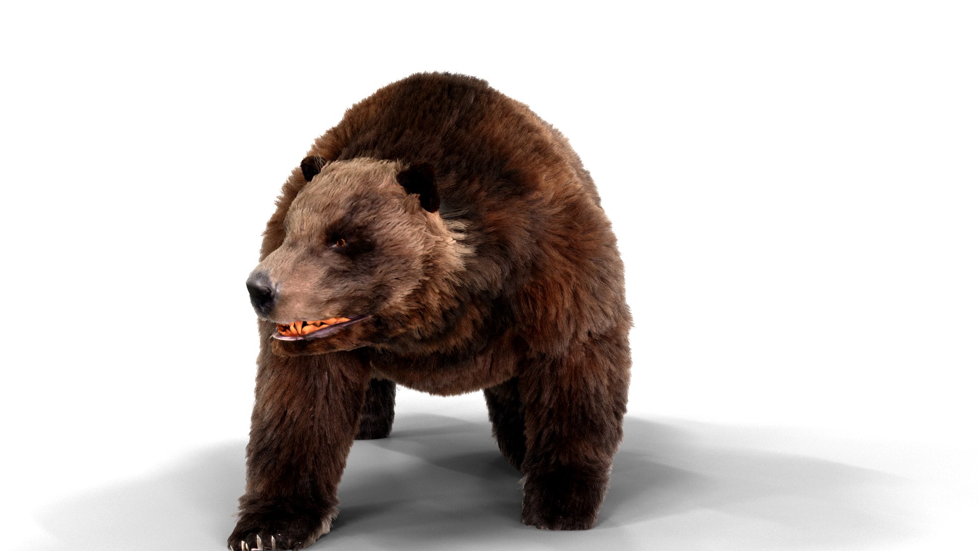 3D bear fur animation https://p.turbosquid.com/ts-thumb/T5/QfYJL2/dk/pose04/png/1618551098/1920x1080/fit_q87/ad95a7f0f0135e37d17cd2c8a789cb0b956b6e28/pose04.jpg