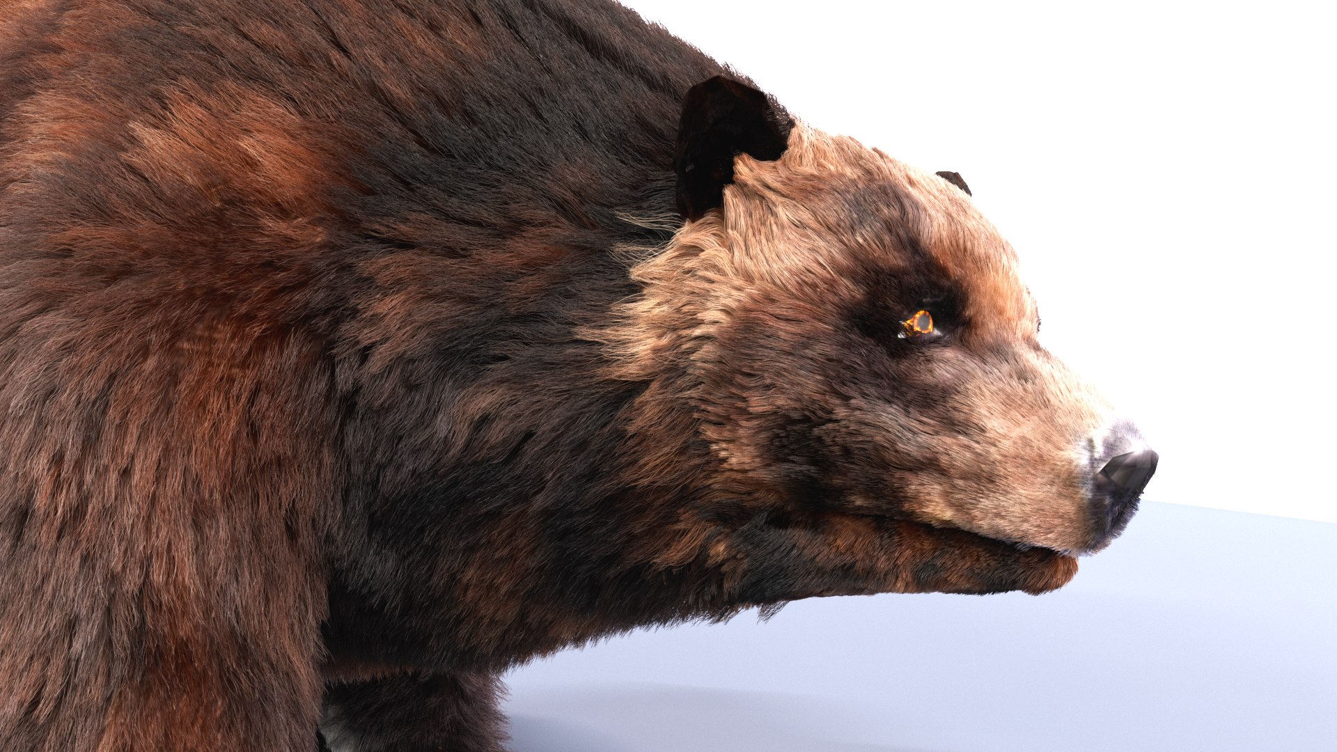 3D bear fur animation https://p.turbosquid.com/ts-thumb/T5/QfYJL2/eJ/bear_06/png/1616606920/1920x1080/fit_q87/747d3a9a3558657682f3046cf631ca908aca6e07/bear_06.jpg