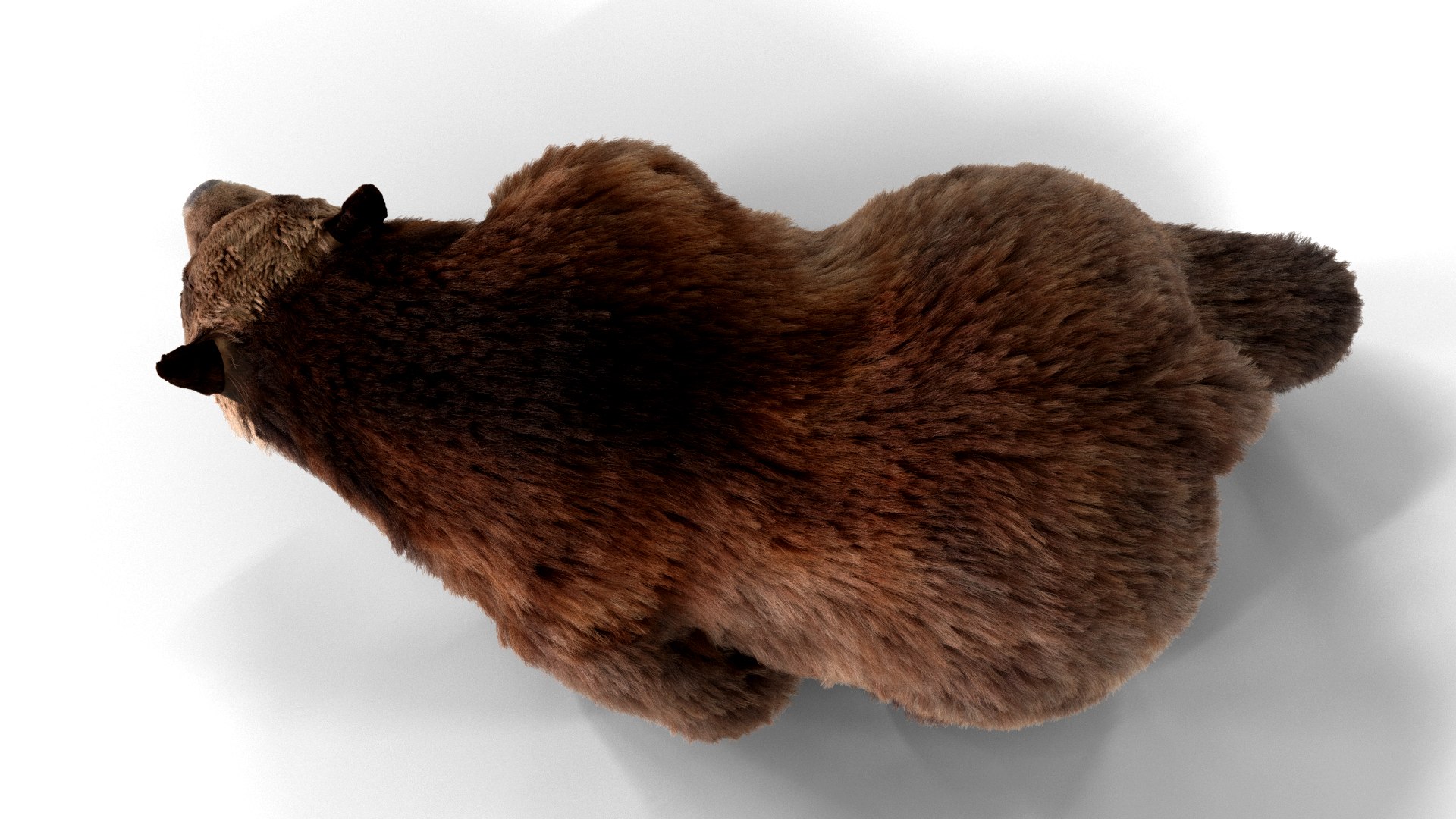3D bear fur animation https://p.turbosquid.com/ts-thumb/T5/QfYJL2/so/pose05/png/1618551096/1920x1080/fit_q87/da6959ffc6a2d14daec79199716cdad80133278e/pose05.jpg