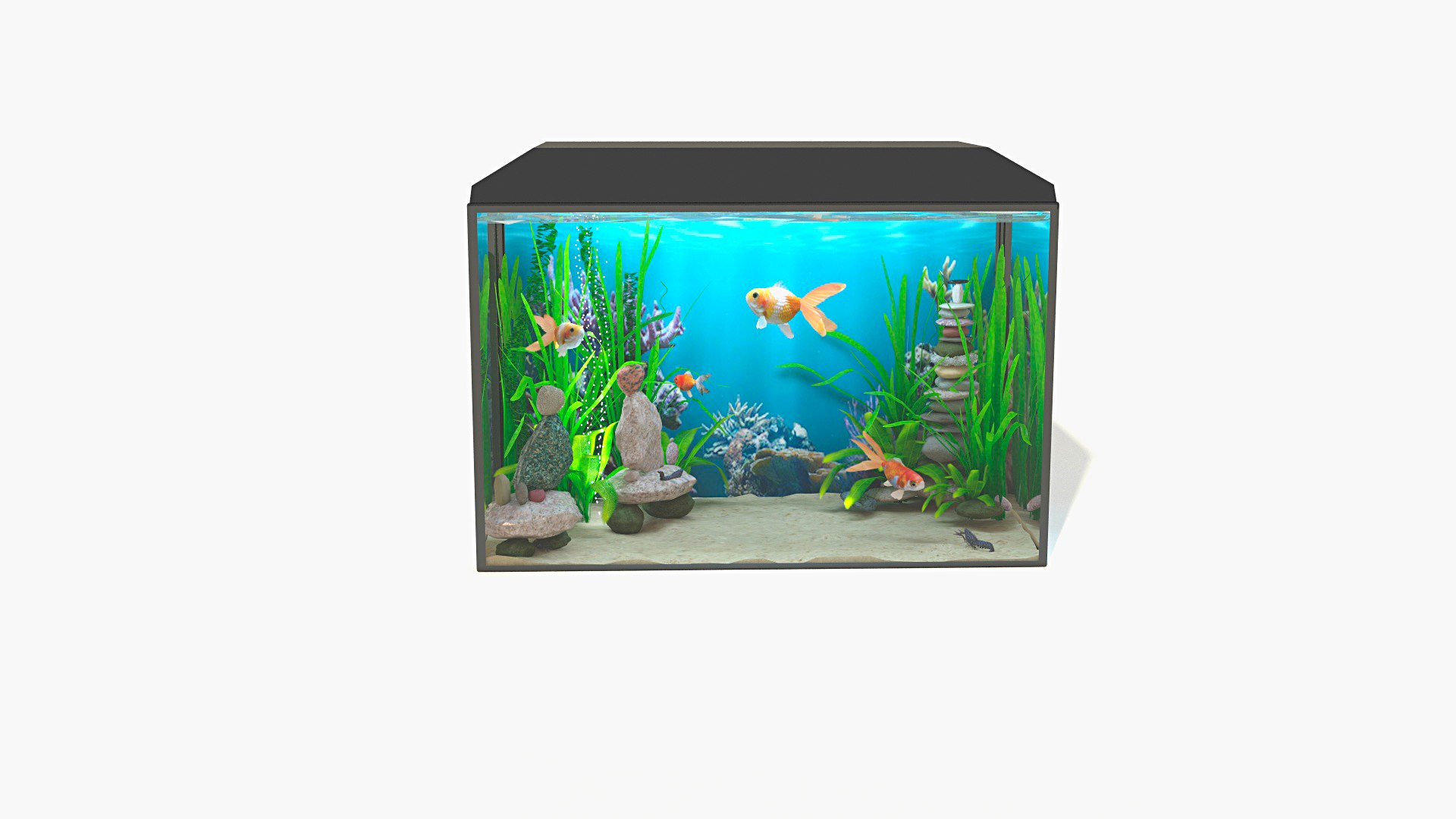 3d Aquarium Turbosquid 1688501