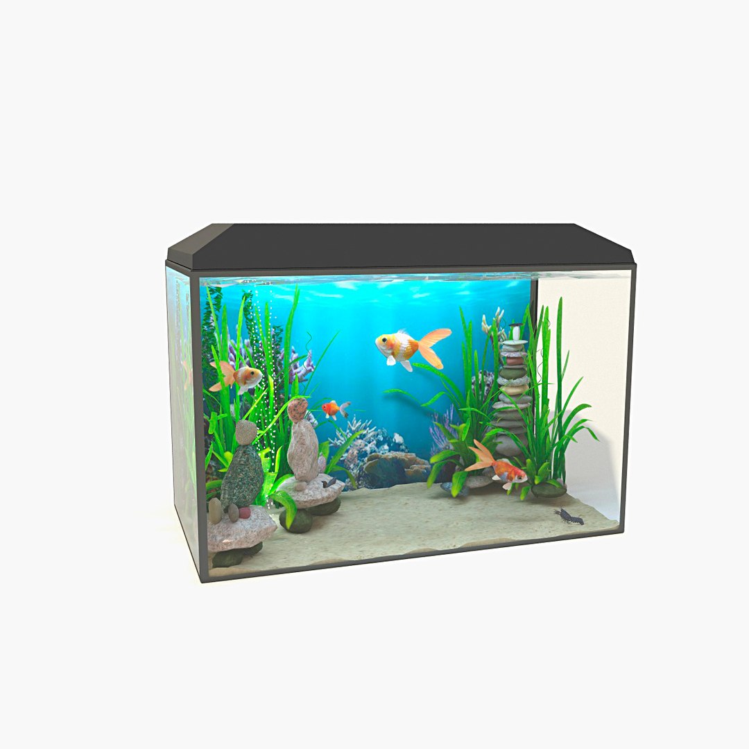 3D Aquarium - TurboSquid 1688501