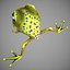 cartoon frog 3D