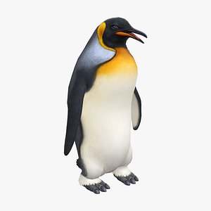 Animated penguin