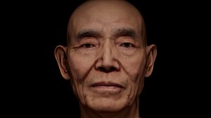 ReRetopologized Head scan Ike Hidetsugu 3D model