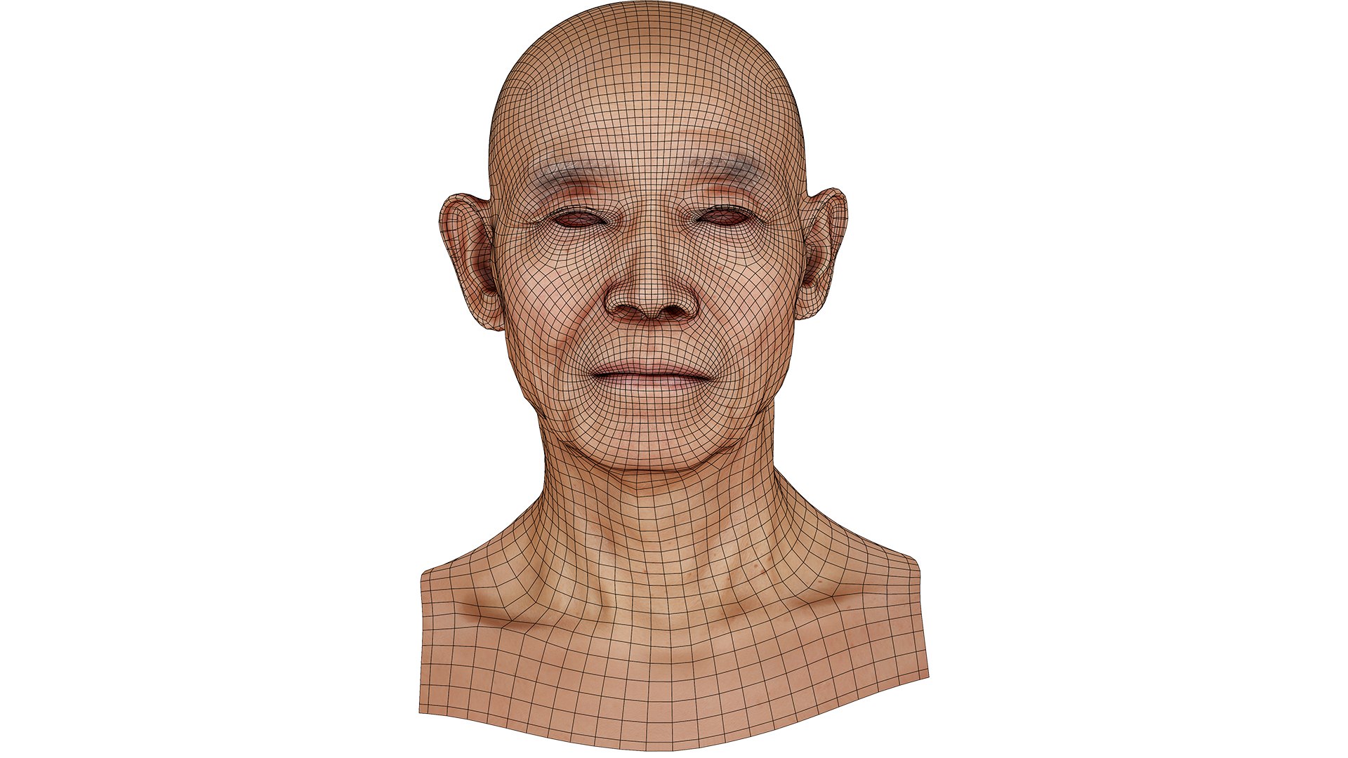 ReRetopologized Head scan Ike Hidetsugu 3D model https://p.turbosquid.com/ts-thumb/T6/BhLWZy/WA/11/jpg/1634079433/1920x1080/fit_q87/6ef0ed5ce6538619169e87428ff561b06e9c2d50/11.jpg