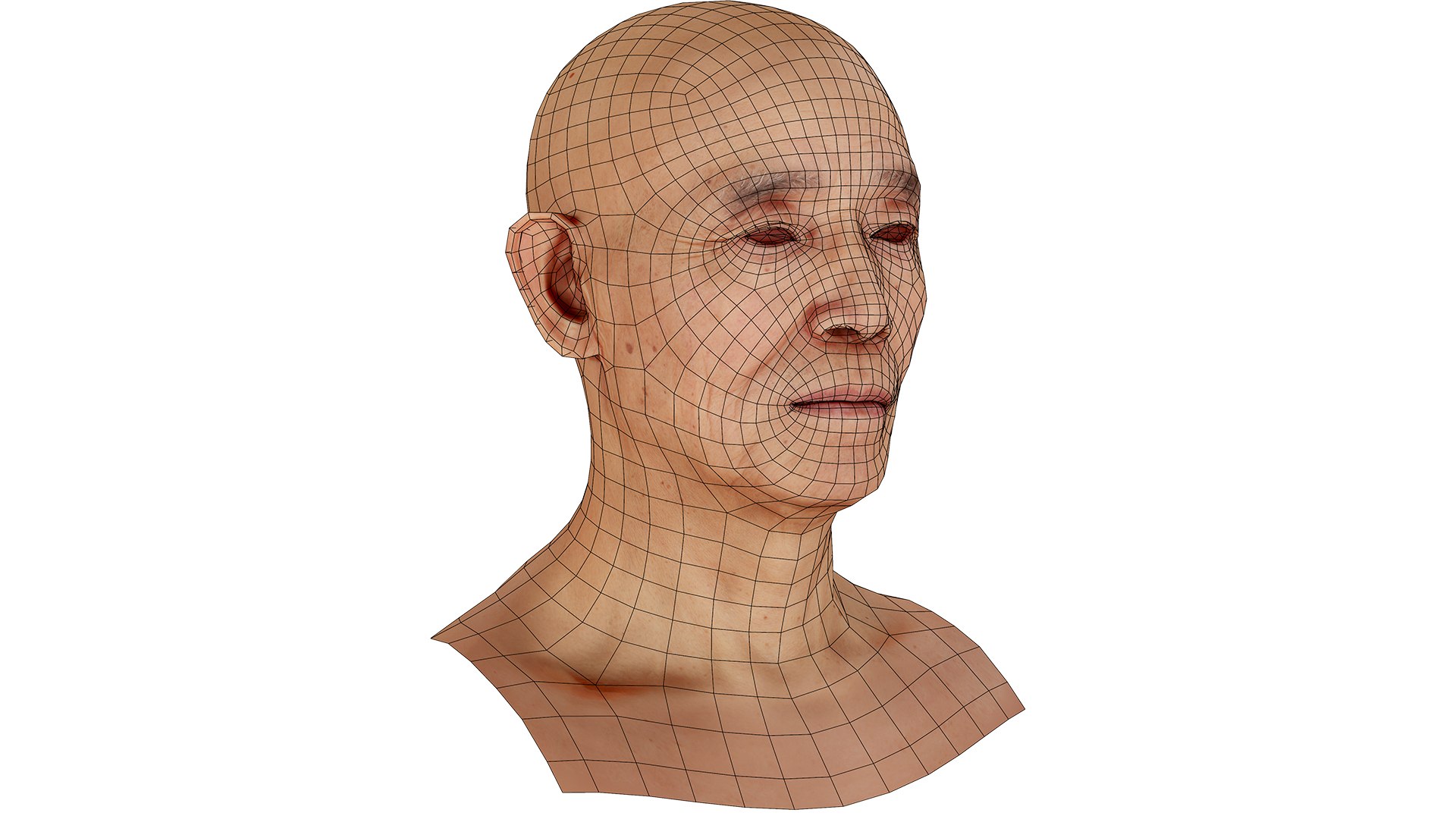 ReRetopologized Head scan Ike Hidetsugu 3D model https://p.turbosquid.com/ts-thumb/T6/BhLWZy/kV/12/jpg/1634079435/1920x1080/fit_q87/6a294222ce91f59072ac5c84c4a8add3b2b3fa80/12.jpg