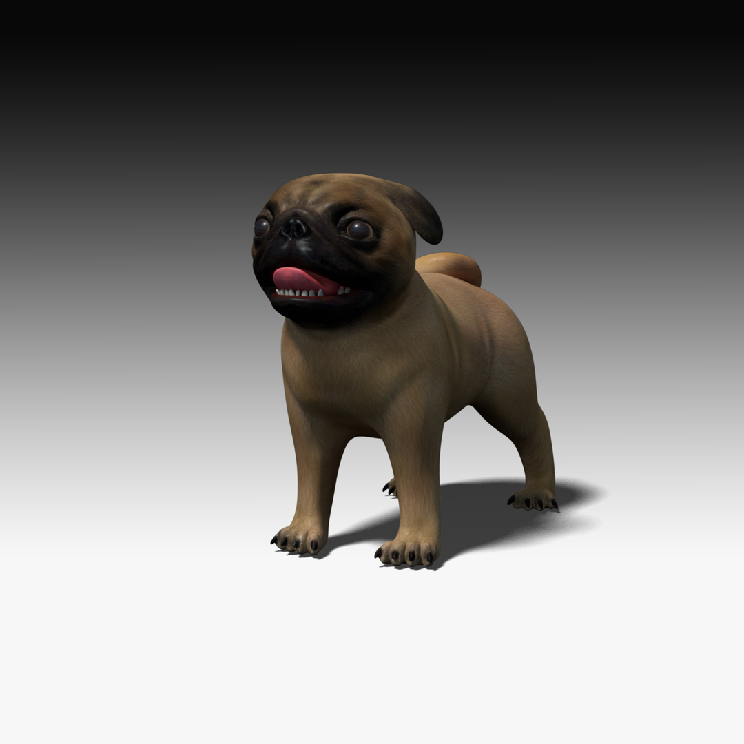 pug dog obj