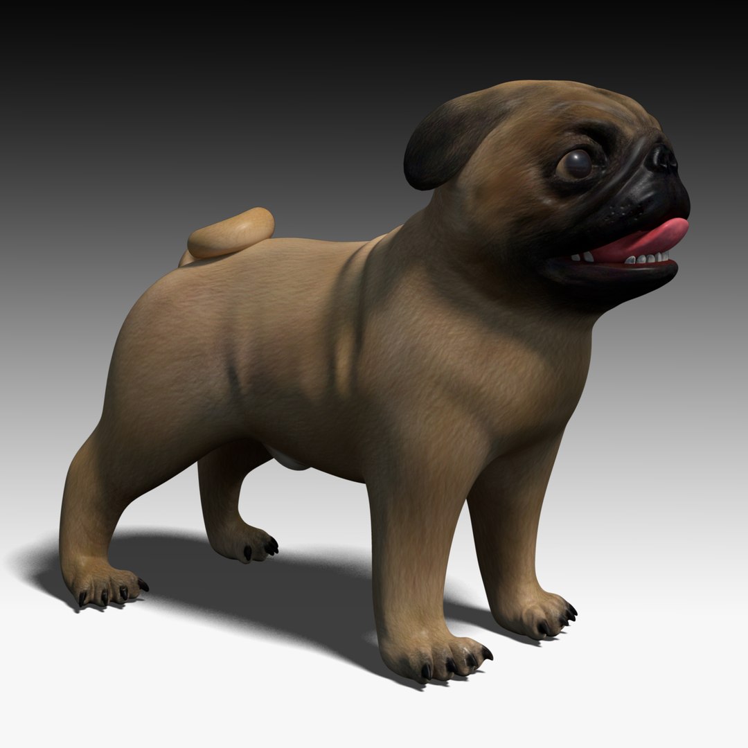 Pug Dog Obj