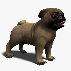 pug dog obj