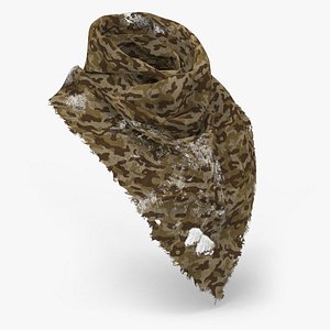 3D model Worn Scarf