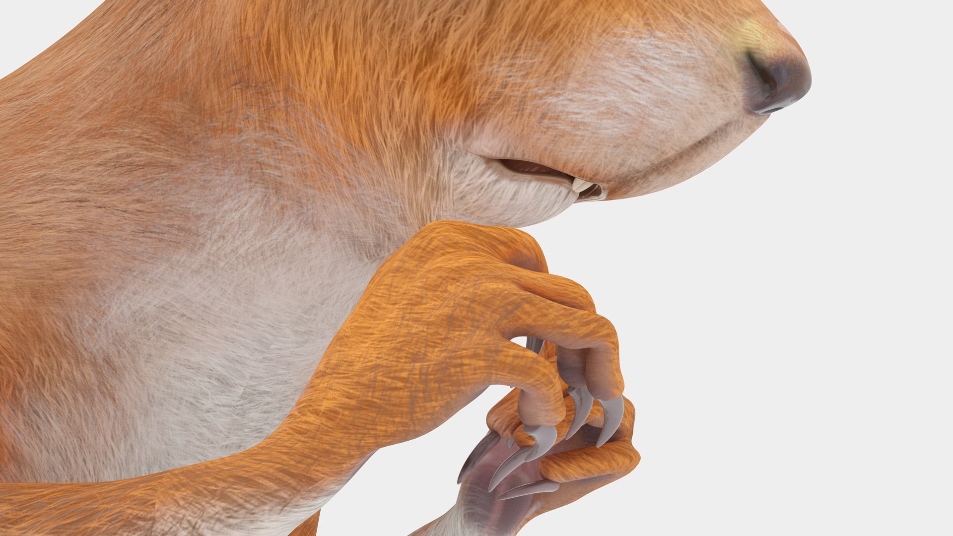 3D model Red Squirrel in a Sitting Pose https://p.turbosquid.com/ts-thumb/T6/Zn1twj/7H/redsquirrelinasittingposevray3dmodel014/jpg/1723013964/1920x1080/fit_q87/d1e811c61057b26d2abd76f897b56d66749749b7/redsquirrelinasittingposevray3dmodel014.jpg