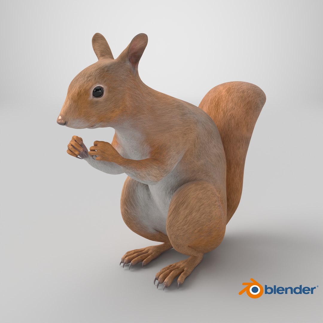 3D model Red Squirrel in a Sitting Pose https://p.turbosquid.com/ts-thumb/T6/Zn1twj/E2/stemcell_blender_cycles_render/png/1724788500/1920x1080/fit_q87/7e22dddb314a8a18b8a74b9741ca6fc3658053e6/stemcell_blender_cycles_render.jpg