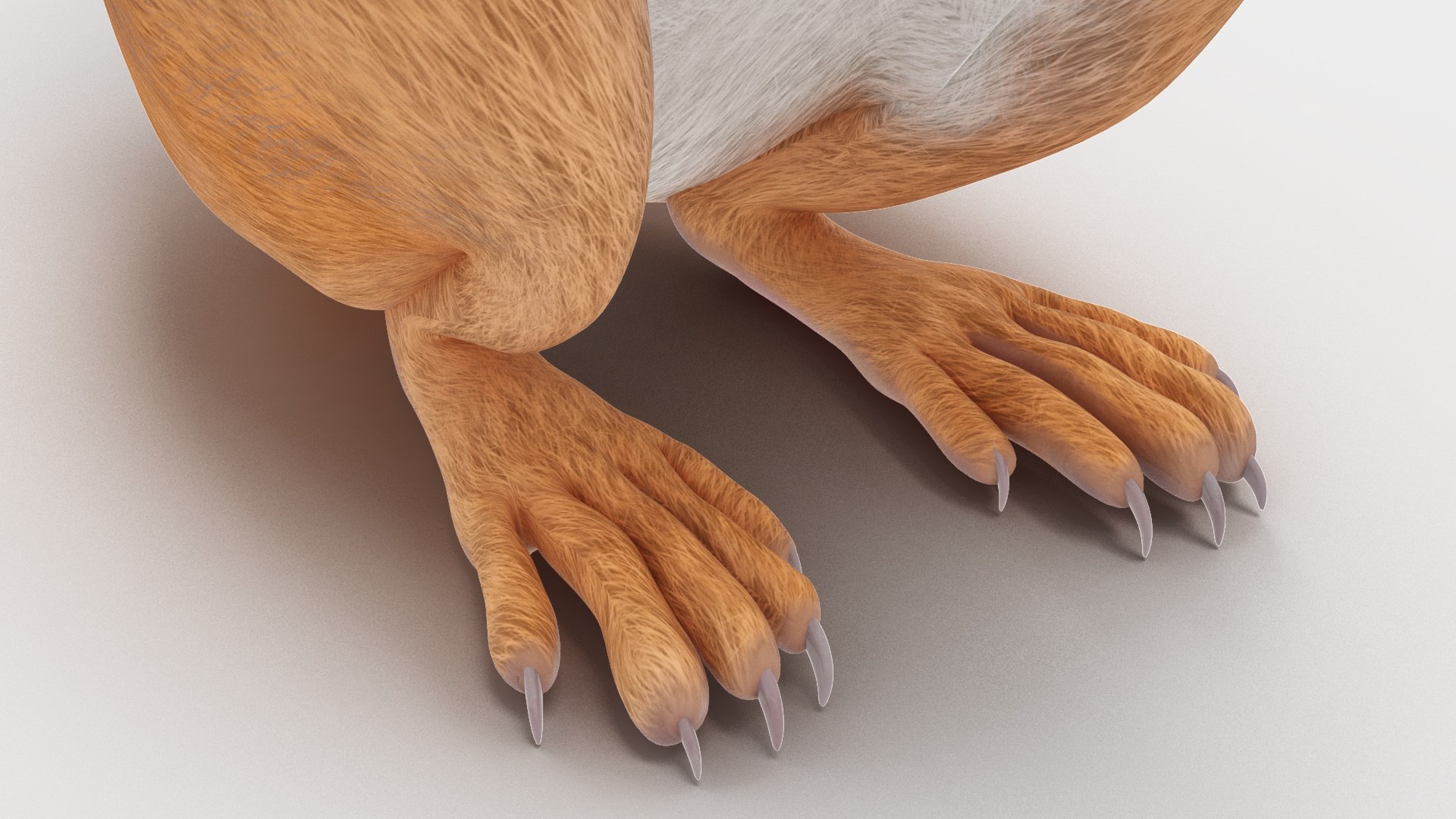 3D model Red Squirrel in a Sitting Pose https://p.turbosquid.com/ts-thumb/T6/Zn1twj/GJ/redsquirrelinasittingposevray3dmodel015/jpg/1723013968/1920x1080/fit_q87/2319d5b32e35232a7d2379db1f202297de96673f/redsquirrelinasittingposevray3dmodel015.jpg
