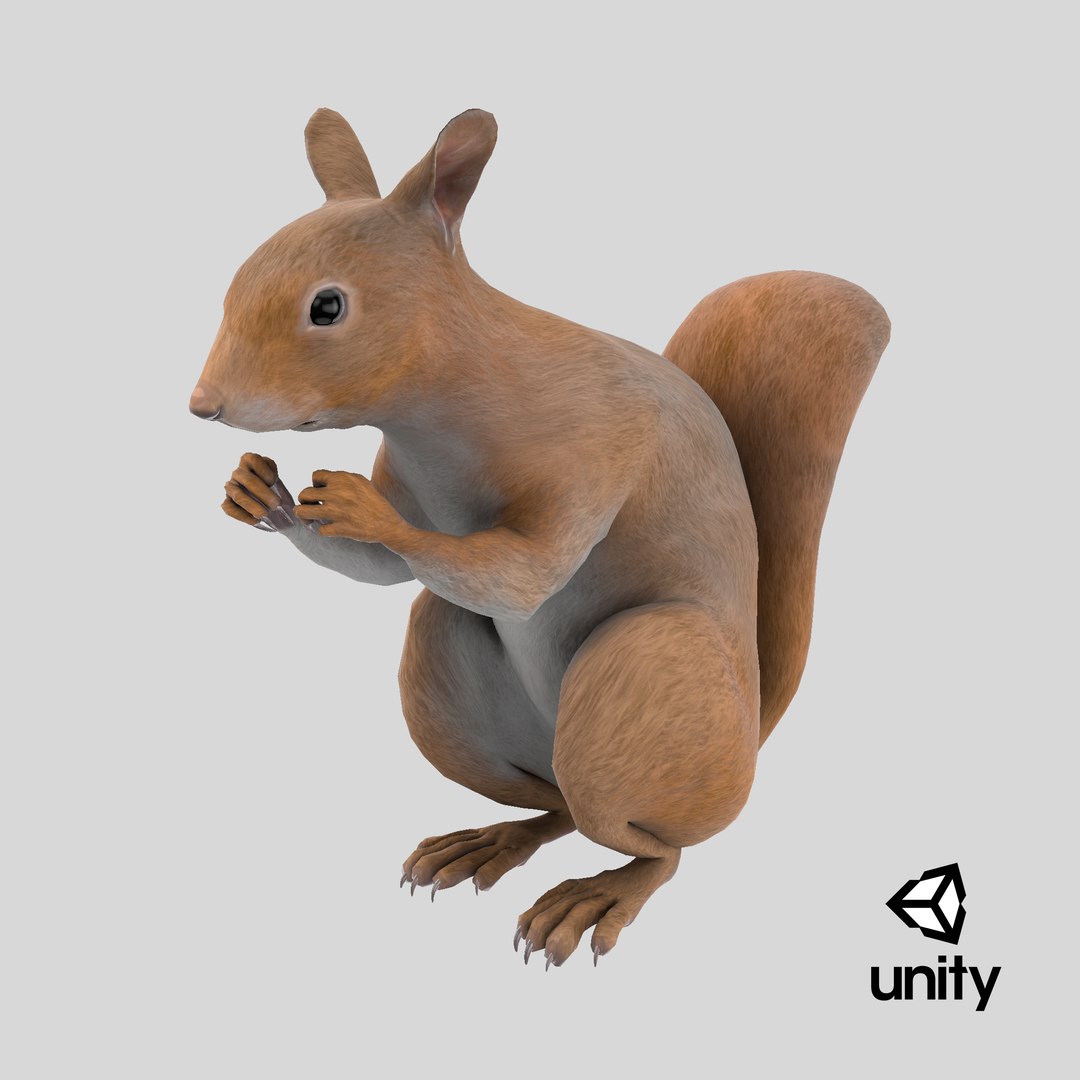 3D model Red Squirrel in a Sitting Pose https://p.turbosquid.com/ts-thumb/T6/Zn1twj/JK/stemcell_unity_render/png/1724788517/1920x1080/fit_q87/a39ac69d39d39aacdc7b24b2753e4f4ddc42d900/stemcell_unity_render.jpg