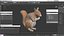 Red Squirrel in a Sitting Pose