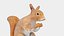 Red Squirrel in a Sitting Pose