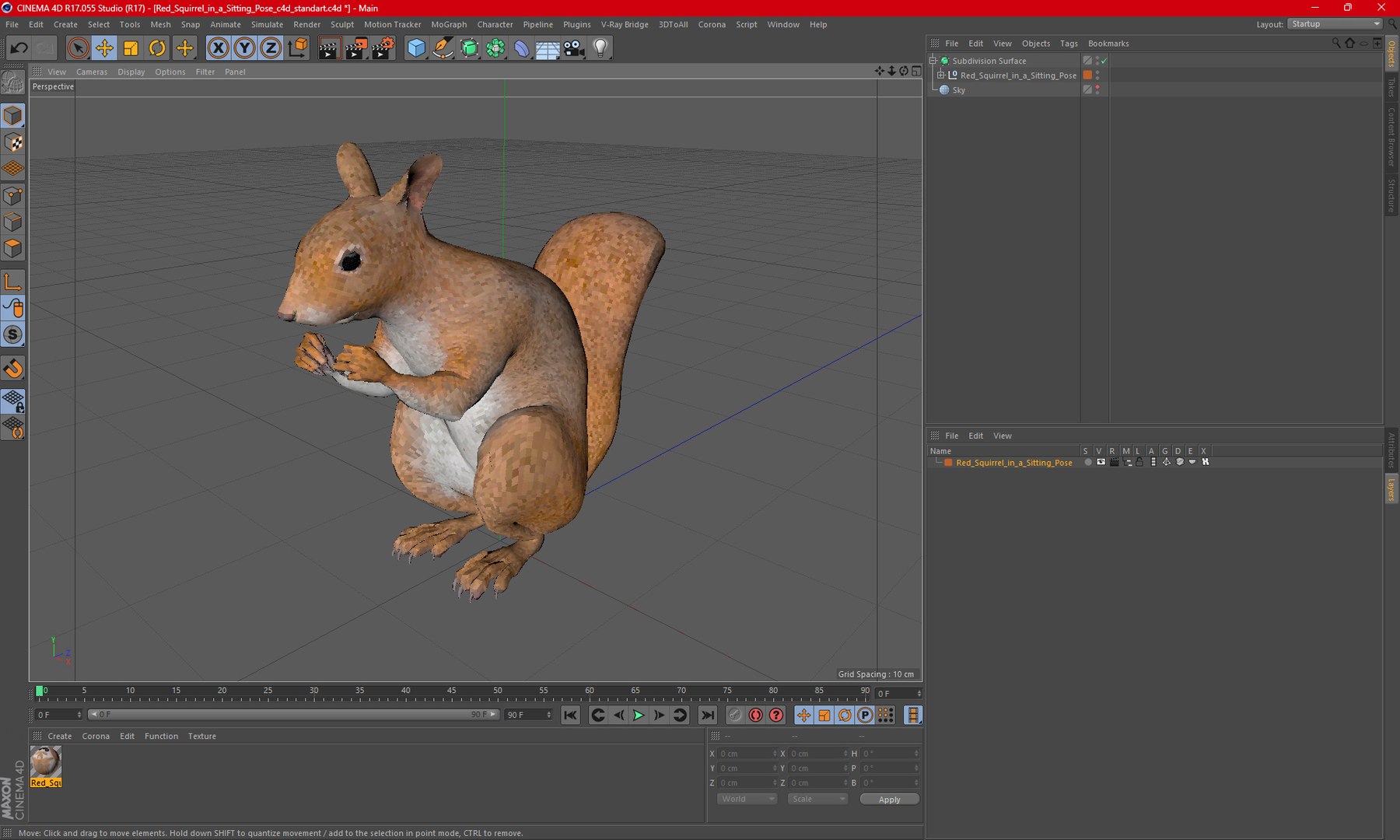 3D model Red Squirrel in a Sitting Pose https://p.turbosquid.com/ts-thumb/T6/Zn1twj/bu/redsquirrelinasittingposevray3dmodel029/jpg/1723014023/1920x1080/fit_q87/e46e90b370c3bd2f044d9197881005eaf5f10de4/redsquirrelinasittingposevray3dmodel029.jpg