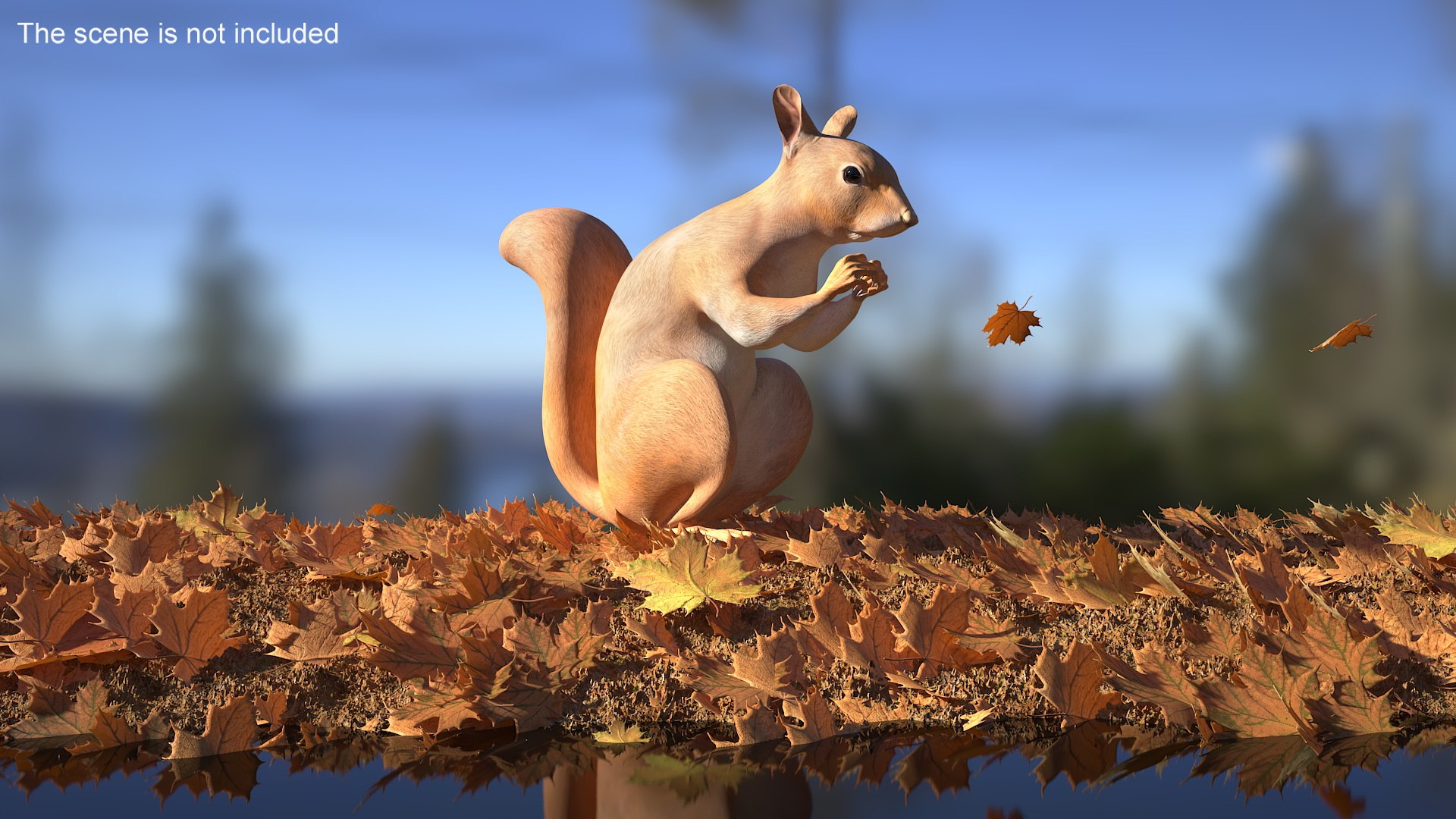 3D model Red Squirrel in a Sitting Pose https://p.turbosquid.com/ts-thumb/T6/Zn1twj/cI/redsquirrelinasittingposevray3dmodel002/jpg/1723013938/1920x1080/fit_q87/ce93f1414e2899222c39825370ec0366fad96635/redsquirrelinasittingposevray3dmodel002.jpg