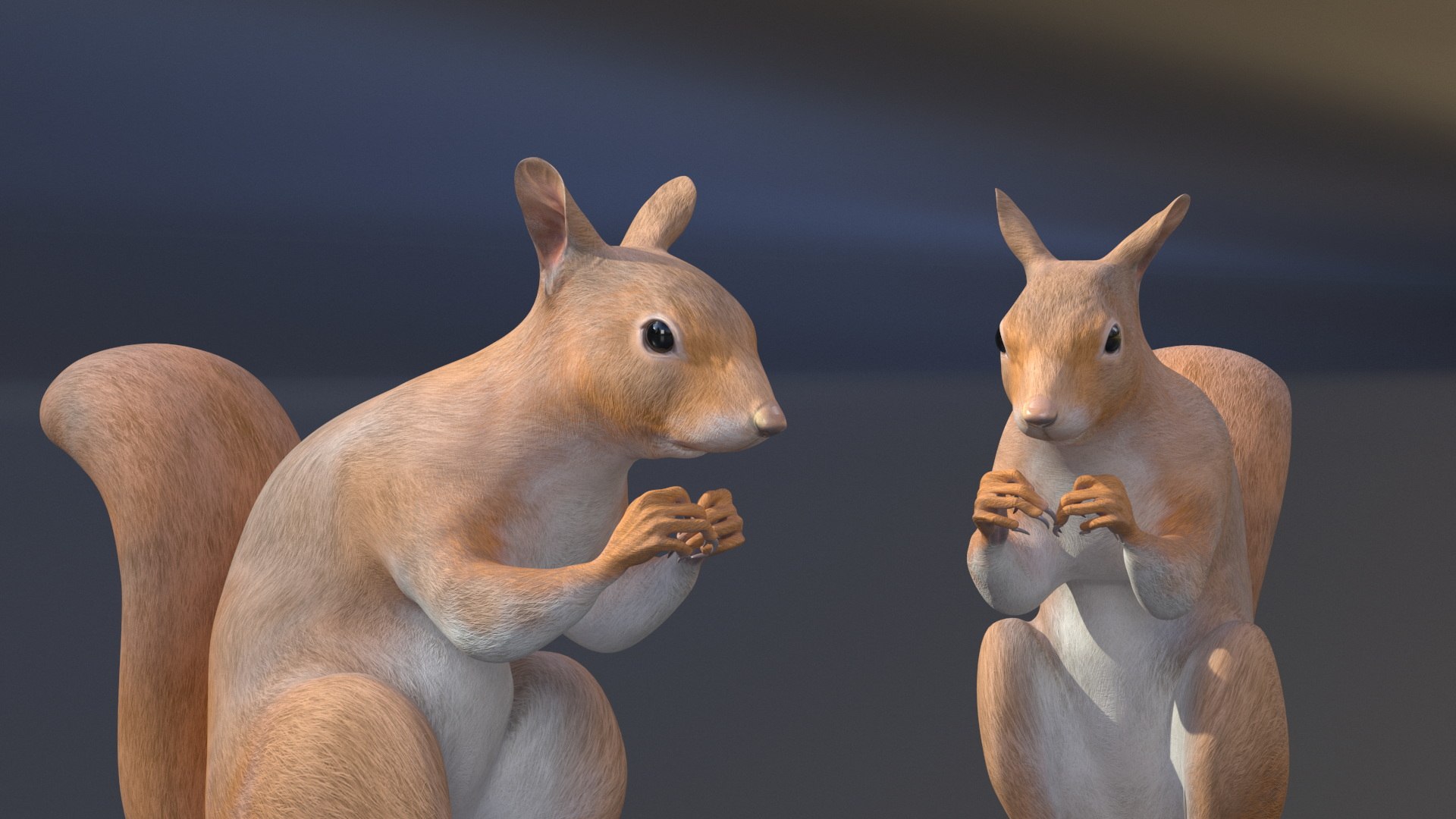 3D model Red Squirrel in a Sitting Pose https://p.turbosquid.com/ts-thumb/T6/Zn1twj/lo/redsquirrelinasittingposevray3dmodel010/jpg/1723013952/1920x1080/fit_q87/220250a84a2487f37301a00b4c3db731ff6a4c3b/redsquirrelinasittingposevray3dmodel010.jpg