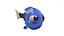 Dory