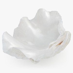 3D model Giant Clam Shell Half