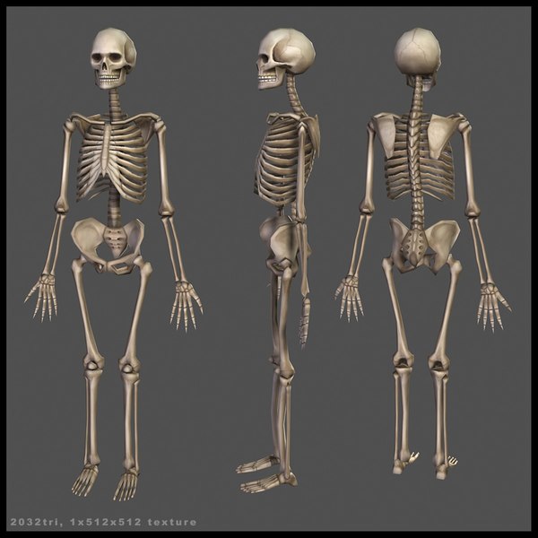 maya skeleton