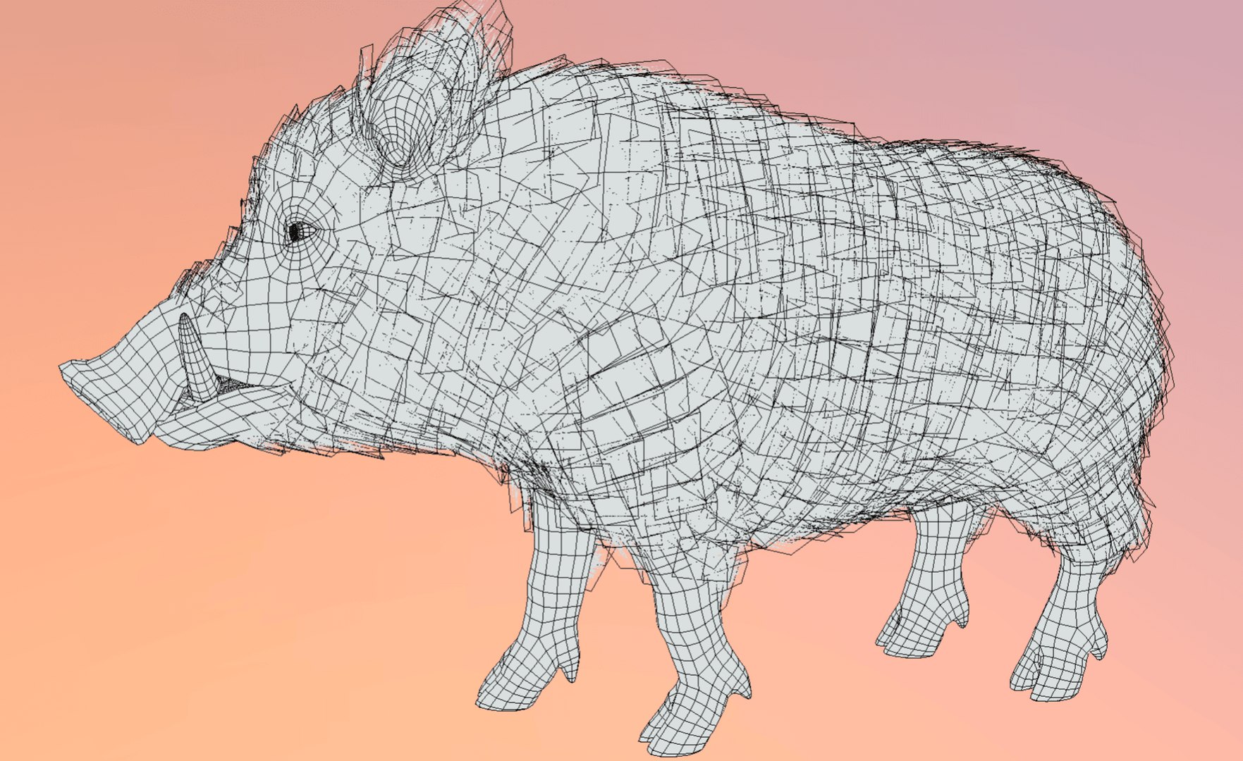 Boar Realistic Rigged And Animated - Highly Detailed Model Model ...