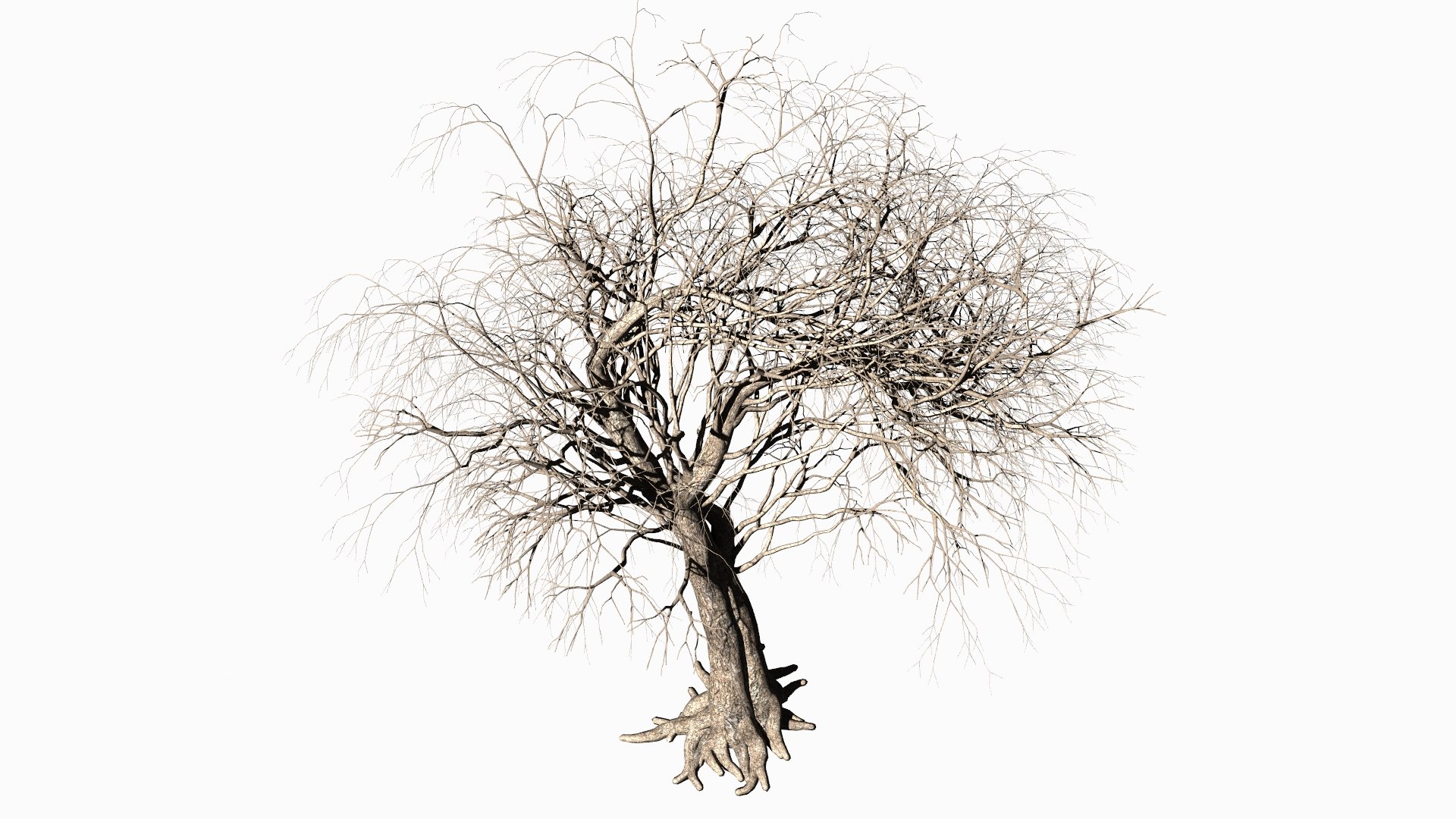 3D Dead Tree Model - TurboSquid 1879115