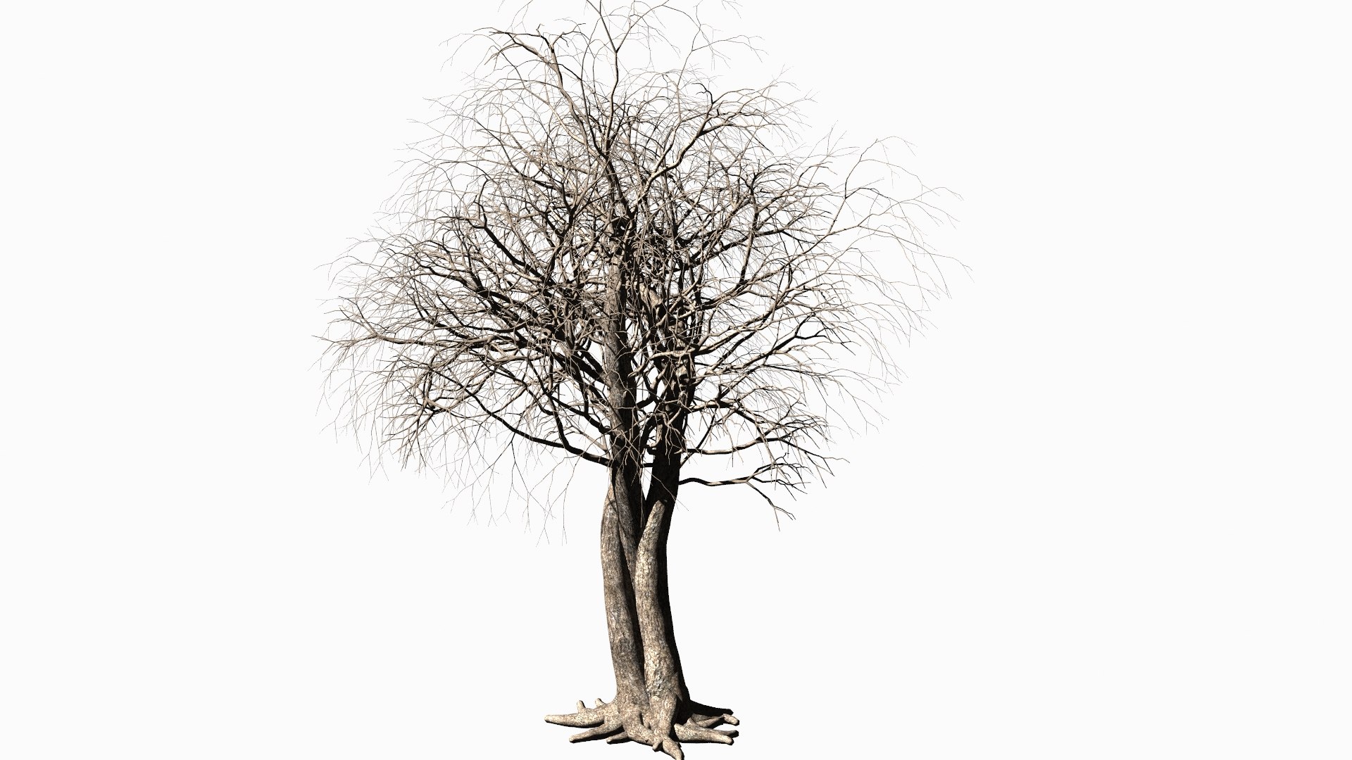 3D Dead Tree Model - TurboSquid 1879115