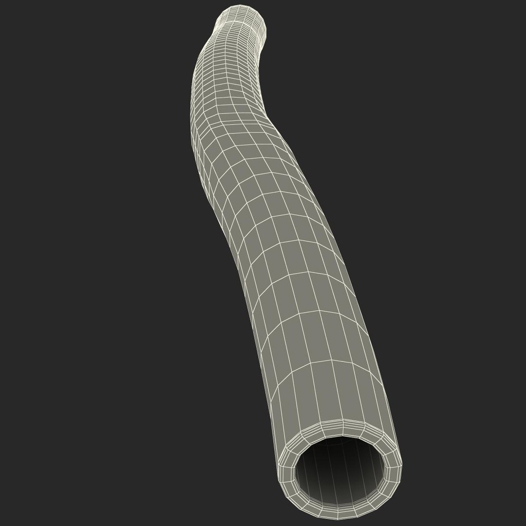 wind instrument didgeridoo 3d model https://p.turbosquid.com/ts-thumb/T7/NKYvoh/LewUYPvG/windinstrumentdidgeridoo_170/jpg/1396426009/1920x1080/fit_q87/adc0c0c24381058c0b812779ce02ace94b20d4cc/windinstrumentdidgeridoo_170.jpg