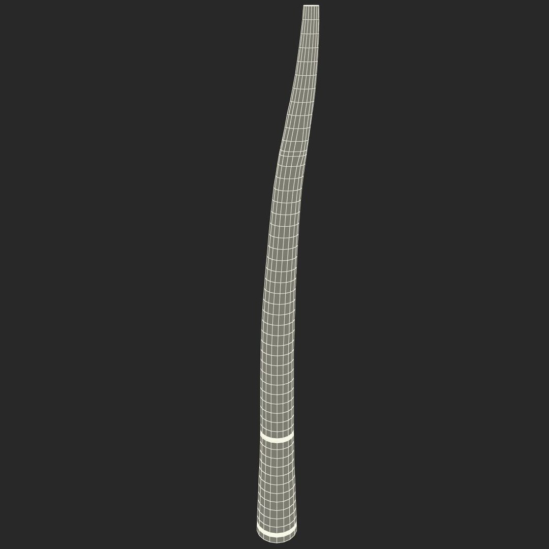 wind instrument didgeridoo 3d model https://p.turbosquid.com/ts-thumb/T7/NKYvoh/R8570vHl/windinstrumentdidgeridoo_167/jpg/1396425999/1920x1080/fit_q87/ce888135300465671e89a08d5812dc278d6cfa0e/windinstrumentdidgeridoo_167.jpg