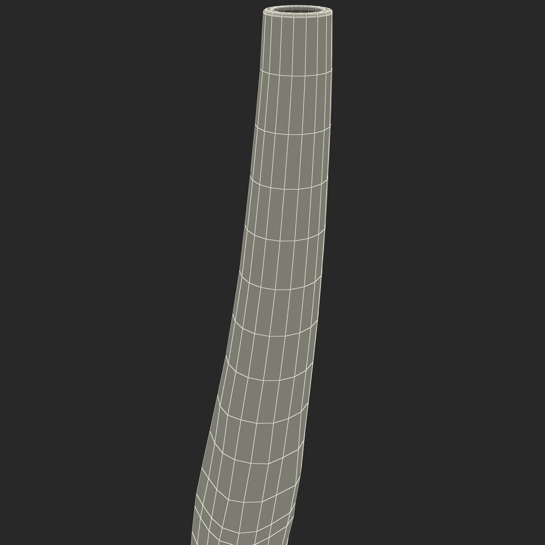 wind instrument didgeridoo 3d model https://p.turbosquid.com/ts-thumb/T7/NKYvoh/eMPtz1L9/windinstrumentdidgeridoo_174/jpg/1396426031/1920x1080/fit_q87/ff5f72a2a548feab62e00e5283d4f123168a7a20/windinstrumentdidgeridoo_174.jpg