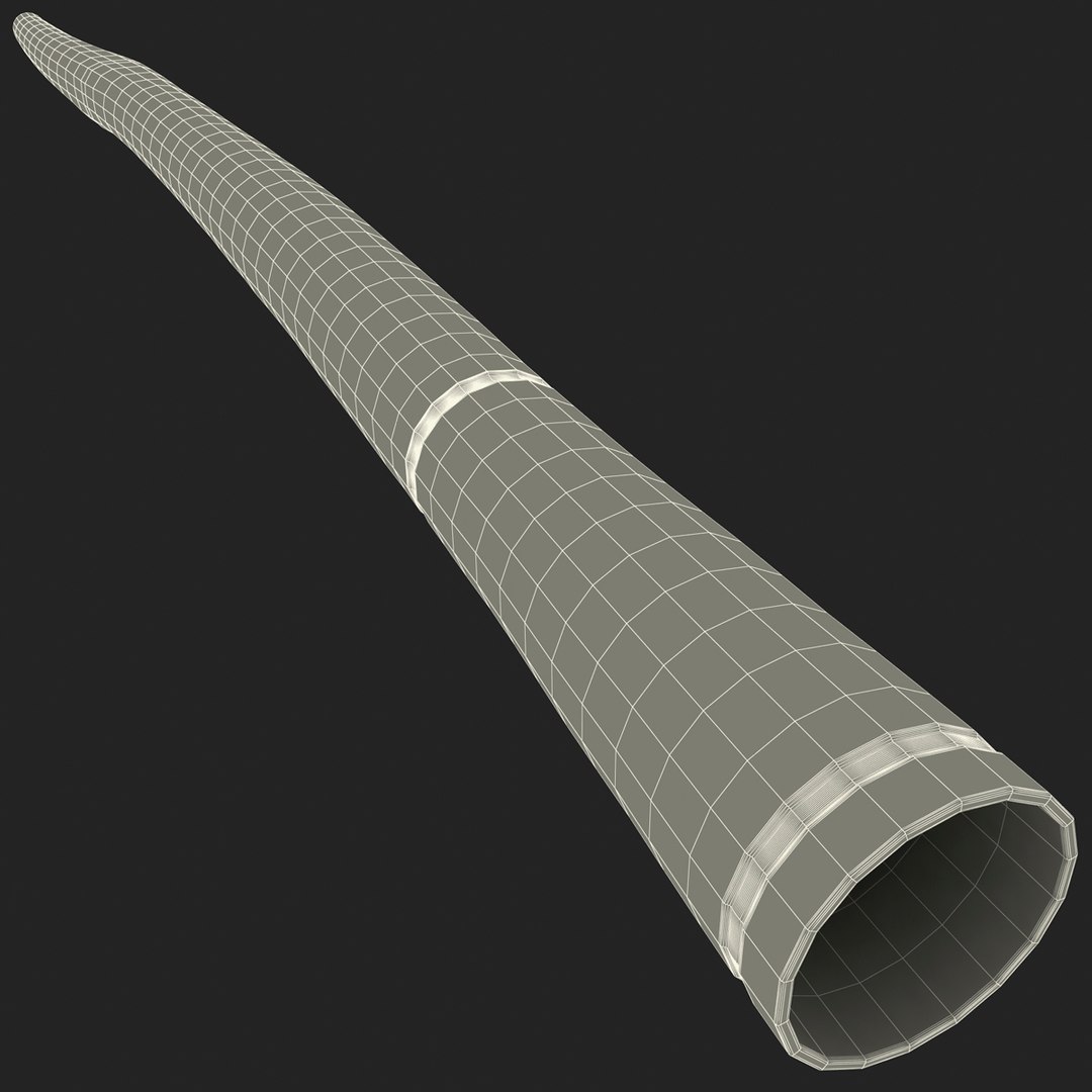 wind instrument didgeridoo 3d model https://p.turbosquid.com/ts-thumb/T7/NKYvoh/krg2L5lL/windinstrumentdidgeridoo_164/jpg/1396426004/1920x1080/fit_q87/6bb5fc7bf72c9da8a94e8e585825318d5eb9a8e8/windinstrumentdidgeridoo_164.jpg