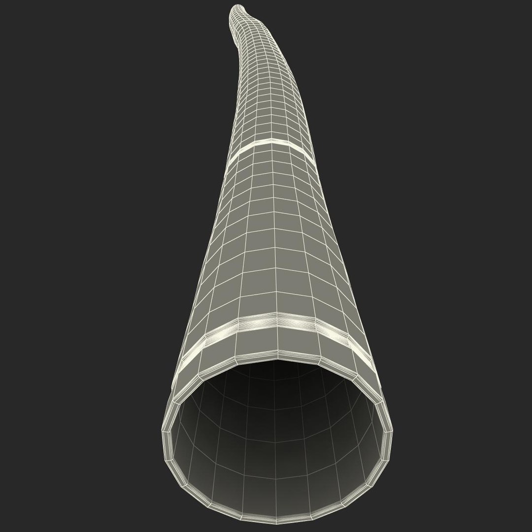 wind instrument didgeridoo 3d model https://p.turbosquid.com/ts-thumb/T7/NKYvoh/t0jvhH65/windinstrumentdidgeridoo_169/jpg/1396426006/1920x1080/fit_q87/edb4f79cc0c5f513bc1219d58a84f5309b4d2ce4/windinstrumentdidgeridoo_169.jpg