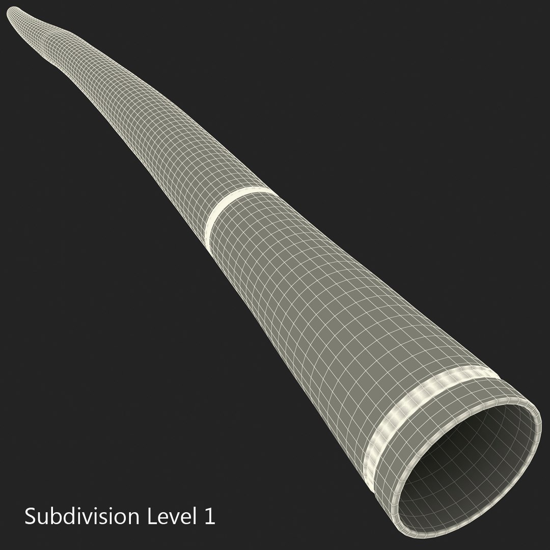 wind instrument didgeridoo 3d model https://p.turbosquid.com/ts-thumb/T7/NKYvoh/ty6UdS4J/windinstrumentdidgeridoo_6/jpg/1396425577/1920x1080/fit_q87/59139eb8a2be95396df100a04c487eff0c98b85e/windinstrumentdidgeridoo_6.jpg