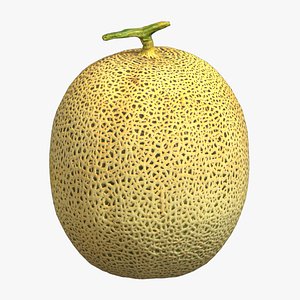 3D Melon 01 Low Poly