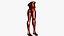 Bodystocking