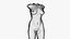 Bodystocking