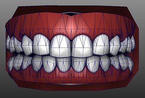 humans mouth max